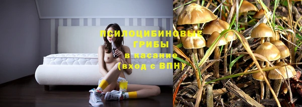 кристаллы Абаза